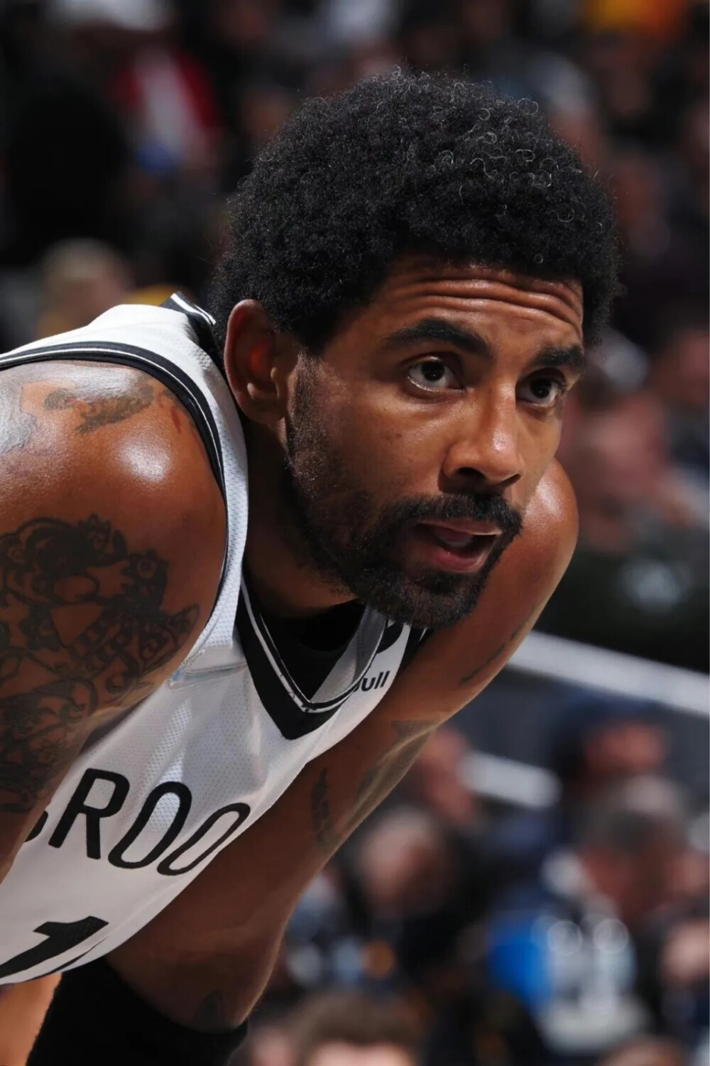 更真实的比 更真实的比