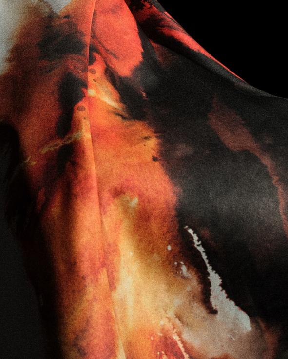 与公共安全 与公共安全